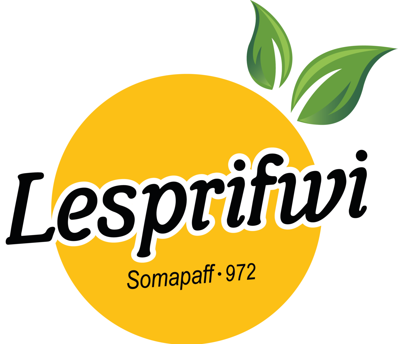 cropped-LESPRIFWI-Logo-final-sans-fond-3 2